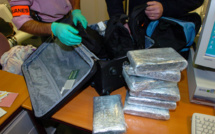 Cocaïne : la Guyane teste la fin des poursuites contre les saisies inférieures à 1,5 kg