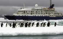 Antarctique: des scientifiques mettent en garde contre les dangers du tourisme