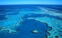 Barrière de corail: l'Unesco appelle l'Australie à donner des garanties de protection