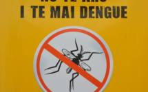 Dengue : en moyenne une quarantaine de cas confirmés par semaine