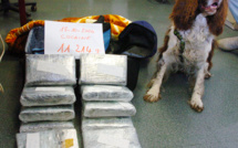 Guyane: fin d'une expérimentation sur les saisies de cocaïne