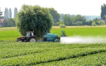 Les pesticides menacent les oiseaux et les vers de terre autant que les abeilles