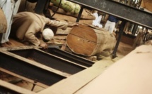 Les "business angels" de la forêt au secours de l'industrie du bois