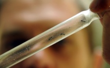 Nouvelles mesures pour lutter contre l'épidémie de Chikungunya en Outremer