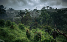 Près de 70% de la faune sauvage a disparu depuis 1970, selon le WWF