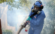 Guadeloupe: Renforts de sapeurs-pompiers pour lutter contre le chikungunya