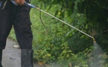 Agriculture: restreindre l'épandage des pesticides près des écoles