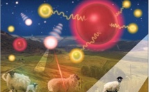 Une série d'incidents impliquant des agents biologiques dangereux aux Etats-Unis