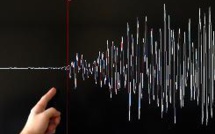 Petit tsunami dans le nord-est du Japon après un fort séisme près de Fukushima