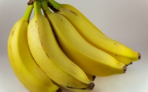 Guadeloupe: utilisation illicite d'une molécule pour faire jaunir les bananes plantains