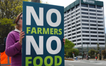 Nouvelle-Zélande: des tracteurs dans les villes contre la taxation des pets de vache