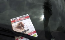 Antilles: le chikungunya pris en charge à 100%, l'épidémie grimpe à 115.000 cas