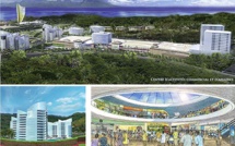 Mahana Beach : comment est perçu le projet hawaiien ?