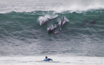 Surf International : Michel Bourez est 5ème au classement mondial après J Bay, Jérémy Florès suspendu pour Teahupo’o !