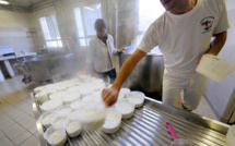 Munster, Brocciu, Fourme d'Ambert: des AOP assouplies avec la sécheresse