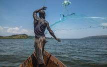 Le Nil, de l'Egypte à l'Ouganda, chronique d'un assèchement annoncé