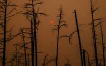 Les feux dans l'Arctique menacent de relâcher des quantités "catastrophiques" de CO2