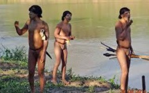 Des Indiens "isolés" entrent en contact avec le monde extérieur au Brésil