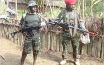 Cinq rebelles séparatistes tués en Papouasie