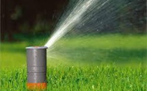 La chasse aux pelouses est ouverte en Californie