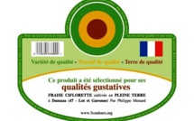 Des fruits avec du goût et des couleurs: maintenant possible en grande distribution