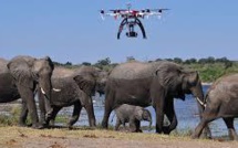 La technologie pour protéger éléphants et rhinocéros du braconnage en Afrique