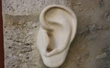 Trahi par son oreille, un cambrioleur condamné à un an ferme