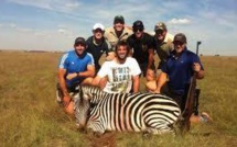 Super 15: Une chasse au zèbre reprochée aux rugbymen des Crusaders