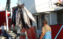 L'Australie octroie des fonds à la pêche océanienne
