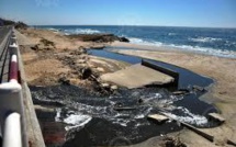 A Gaza, les poissons aussi fuient la guerre