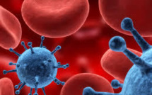 Ces virus émergents qui nous menacent