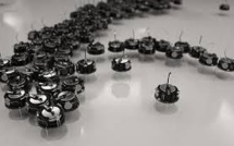 Des mini-robots inspirés des abeilles et des fourmis s'auto-organisent