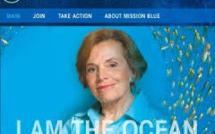 Mission Blue et l'incroyable destin de la reine des océans Sylvia Earle
