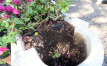 Embellissement des espaces publics: Appel au civisme