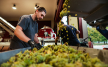 A Bordeaux, ces barriques en verre qui bousculent les codes du vin