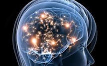 Autisme: un excès de connexions nerveuses potentiellement traitable