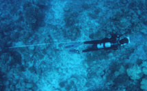 Le milieu coralien de Nuku Hiva “très stable”