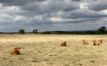 2022 est déjà l'année la plus chaude jamais mesurée en France