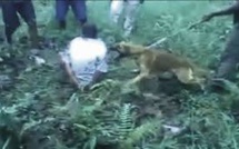 Violences policières : plusieurs États océaniens de nouveau sur la sellette