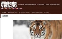 Le site WildLeaks veut traquer les têtes des réseaux de braconnage