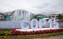 COP15: 30% de zones protégées, droits des indigènes et biopiraterie au menu des débats