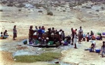 Changement climatique/risques santé : l'OMS veut provoquer une prise de conscience