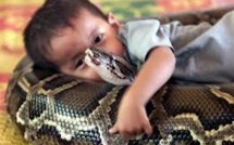 Les animaux exotiques de compagnie, une dangereuse passion au Costa Rica