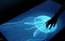 Japon: une technologie qui rend tangibles des images irréelles