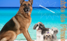 Concours du plus beau chien de Polynésie le 4 octobre