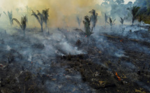 Brésil: les surfaces incendiées ont presque doublé en novembre sur un an