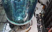 Un aquarium géant éclate dans un hôtel au coeur de Berlin