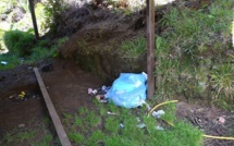 Le mont Aorai devient un dépotoir : il y a urgence à agir