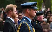 Le prince Harry accuse William de l'avoir jeté au sol en 2019