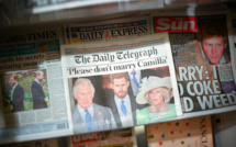 Au Royaume-Uni, le prince Harry accusé de vouloir détruire la famille royale
